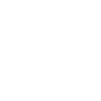 Niva Foods Logo